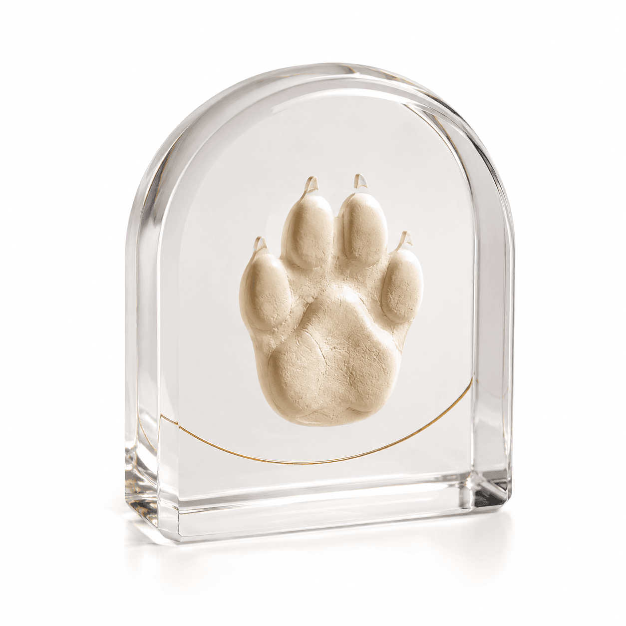 Clear Cast Resin Paw Impression Display
